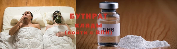 шишки Аркадак